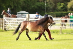 SBM_00446