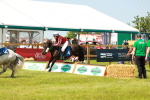SBM_04585