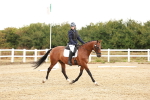 SBM_001621