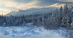 Winter Wonderland