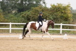 SBM_01664