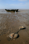 Ship wreck, Somerset _S089