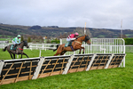 121225-Race 3-Moutarde-4993