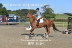 BPP_6164