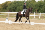 SBM_001036