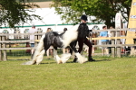 SBM_08769