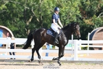 250725-093332-01152_Cls 6 Snr British Novice and 90cm