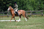 WJ7_8647