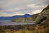 KAIKURA BEACH