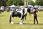 SBM_04239