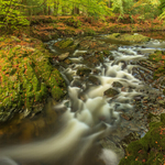 Shimna River, Tollymore Forest, Co Down