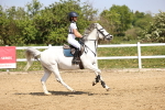 SBM_000871