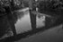 JamesGardens2310-3bw