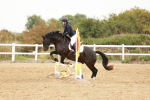 SBM_007696