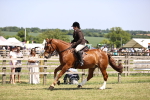 SBM_17740