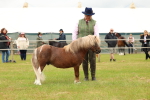 SBM_04473
