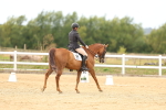 SBM_013381