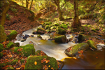 Padley Gorge Autumn