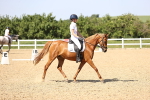 SBM_010177