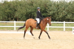 SBM_00977