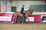 Class S - Style & Performance Champ portfolio