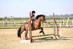 SBM_000246