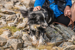 Ennerdale-66