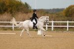 SBM_010380