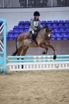 SBM_004291