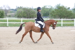 Class 1-3 - Intro 1 Lead Rein-Intro 4 portfolio