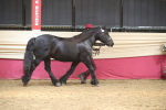 SBM_05500