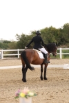 SBM_005408