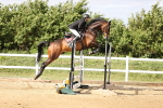 SBM_003630