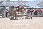 BPP_8172