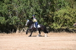 WJ6_7554