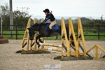 60-65cm Arena Eventing portfolio