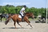 BPP_8066