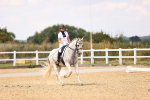 SBM_008826
