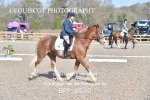 BPP_8510