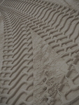 P2110158