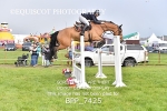 BPP_7425