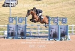 BPP_6907