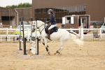 SBM_008526