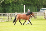 SBM_00435