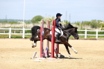 SBM_007462