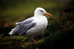 20100831_0243_2