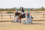 SBM_000226
