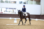 SBM_001114