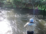 Taupo River Hookup.
