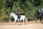 WJ6_8150